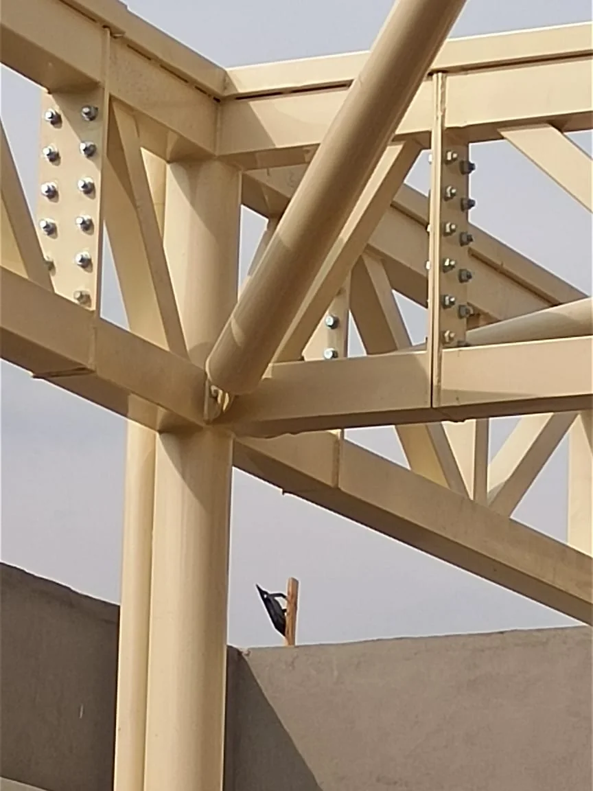 مظلات مخروطي